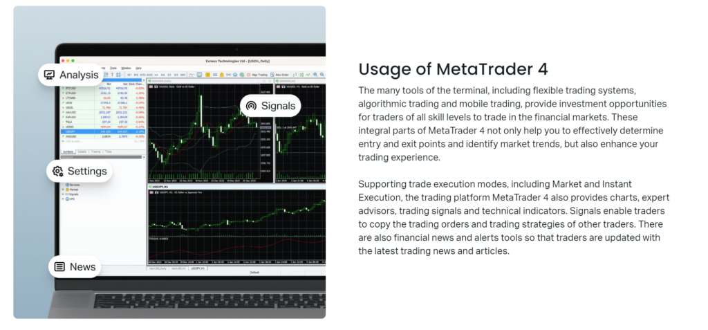 How To Make Money From The Exness Copy Trading Phenomenon